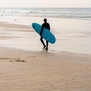 Salewa MS Alp Trainer Mid GTX treetop/ri