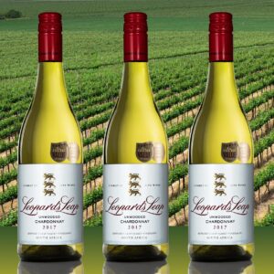 Salewa MS Speed Ascent carbon/flame UK 9