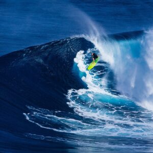 Salewa MS Firetail EVO Mid GTX smoke/gne