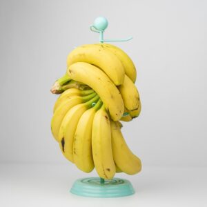 Salewa MS Raven 2 GTX mayan blue/papaver