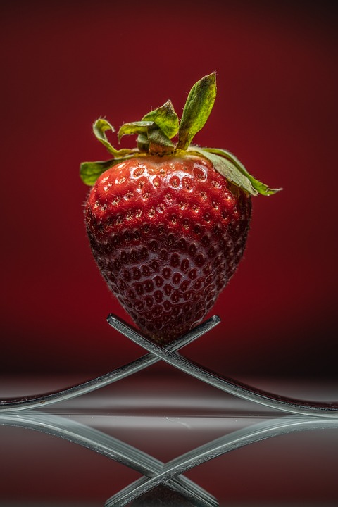 Dynafit MS Feline Vertical PRO magenta/g